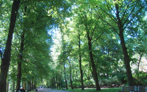 podlasie bialystok001 2014-06-09 20-11-30