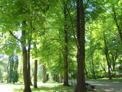 podlasie bialystok001 2014-06-09 20-13-19