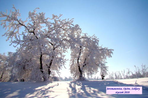 Jerzmanowice, Ojców, Szklary w styczniu 2010 roku