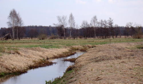 Kwiecień nad Uniejówką